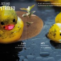 Fotografía de dos patos de goma flotando en una mancha de aceite, con camalotes. La imagen se complementa con información sobre el destino del petróleo en los océanos.